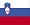 Slovenia_lgflag.png